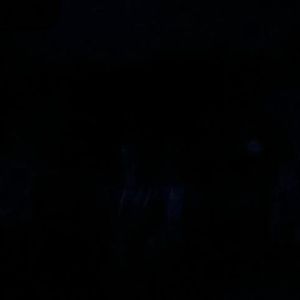 Meet your Posher, Lucas